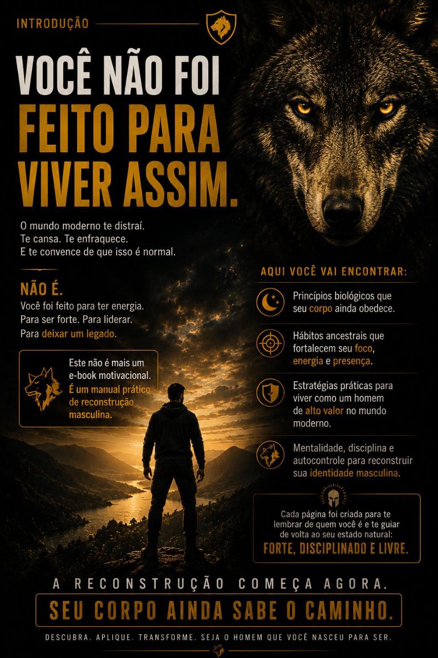 Página 2 do ebook